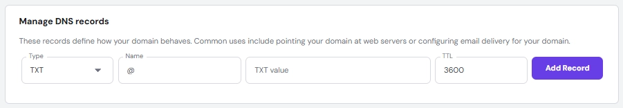 Google Workspace domain verification screen showing TXT record instructions.